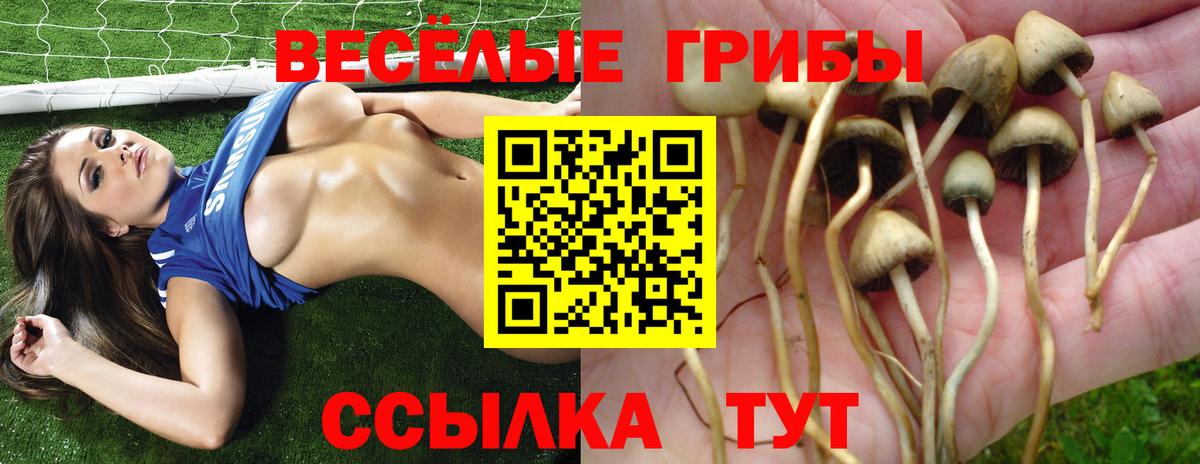 Галлюциногенные грибы MAGIC MUSHROOMS Фролово