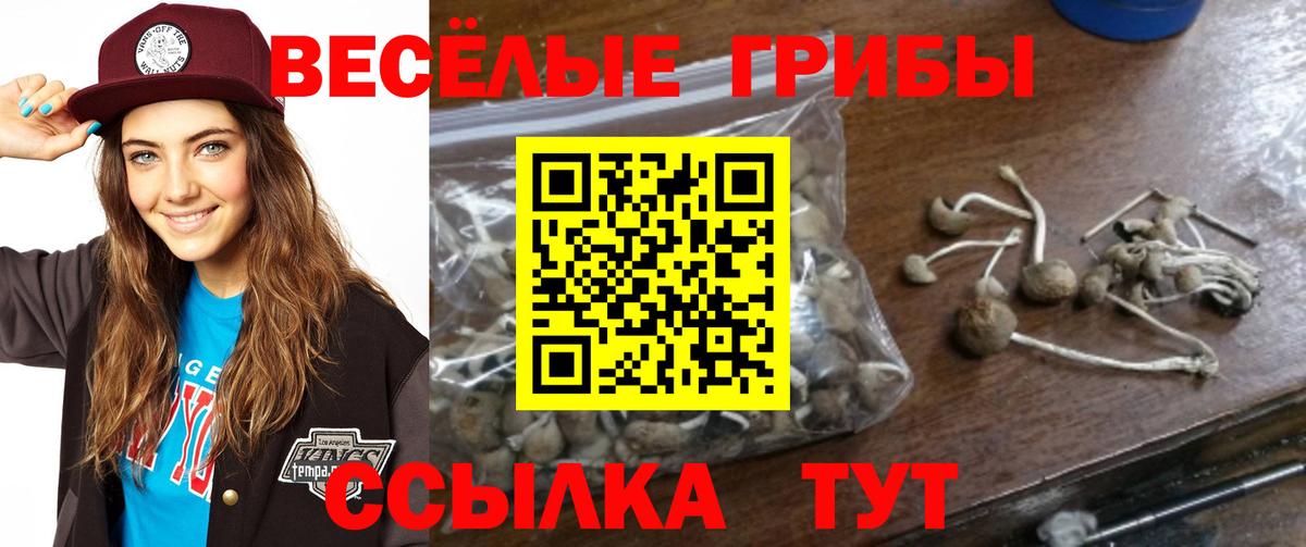 Галлюциногенные грибы GOLDEN TEACHER  Вход с VPN  Фролово 